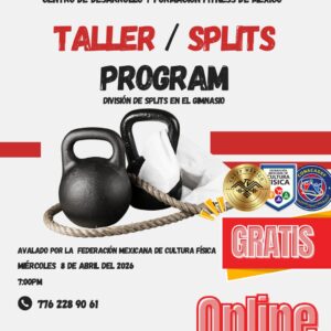 Estructuración de Rutinas (Splits) para Entrenamiento con Pesas